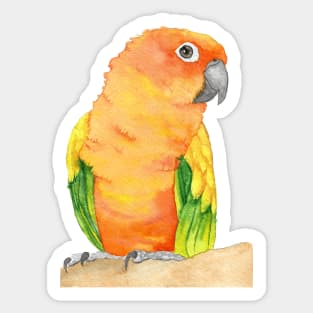 sun parakeet watercolor bird portrait painting Sticker